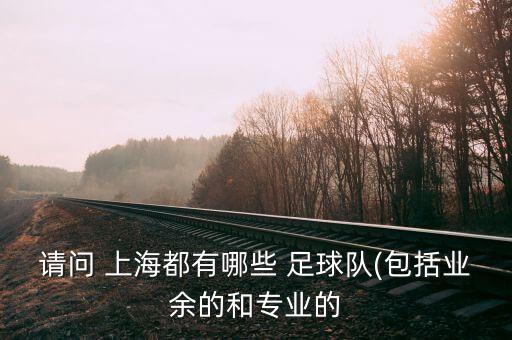 請(qǐng)問 上海都有哪些 足球隊(duì)(包括業(yè)余的和專業(yè)的