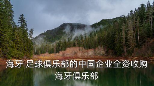 海牙 足球俱樂部的中國企業(yè)全資收購海牙俱樂部