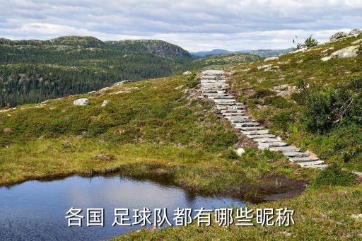 各國(guó) 足球隊(duì)都有哪些昵稱(chēng)