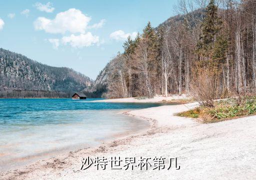  沙特世界杯第幾