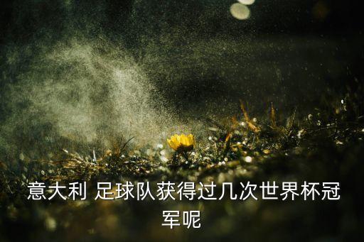  意大利 足球隊獲得過幾次世界杯冠軍呢