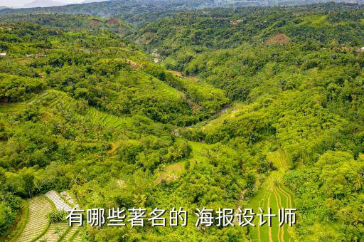 墨西哥海報足球