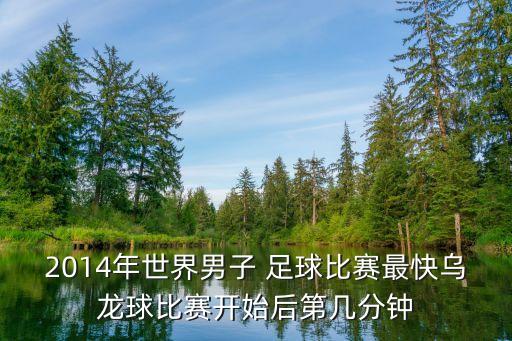 2014年世界男子 足球比賽最快烏龍球比賽開始后第幾分鐘