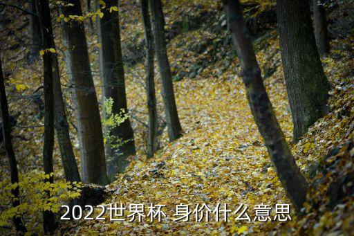 2022世界杯 身價(jià)什么意思