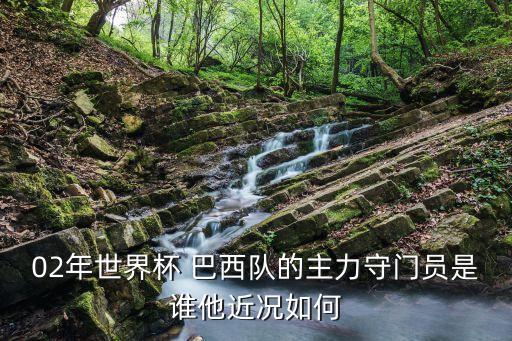 02年世界杯 巴西隊(duì)的主力守門員是誰他近況如何