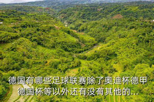  德國(guó)有哪些足球聯(lián)賽除了奧迪杯德甲 德國(guó)杯等以外還有沒(méi)有其他的...