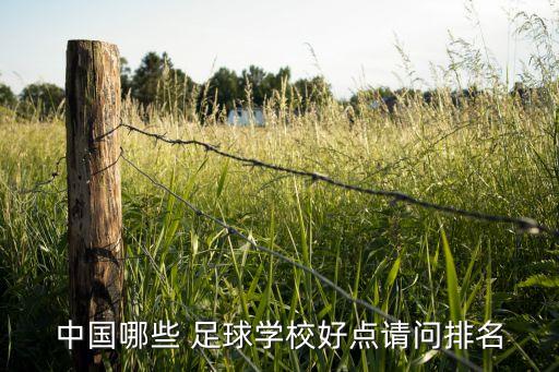 中國哪些 足球?qū)W校好點(diǎn)請問排名