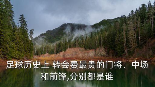 足球歷史上 轉(zhuǎn)會(huì)費(fèi)最貴的門將、中場(chǎng)和前鋒,分別都是誰(shuí)