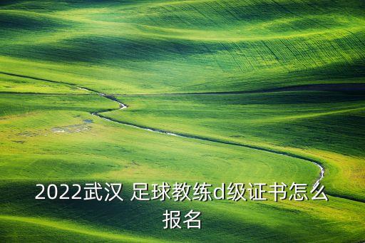 中國(guó)足球D級(jí)教練員執(zhí)照