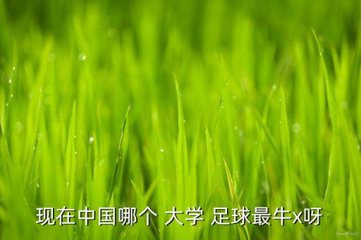 現(xiàn)在中國(guó)哪個(gè) 大學(xué) 足球最牛x呀