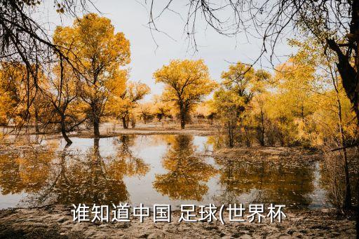 中國(guó)足球下場(chǎng)比賽時(shí)間,2021中國(guó)足球超級(jí)杯比賽時(shí)間