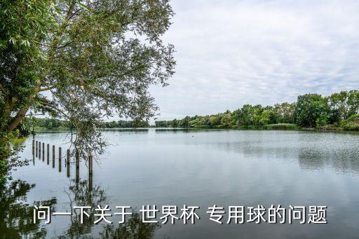 問一下關于 世界杯 專用球的問題