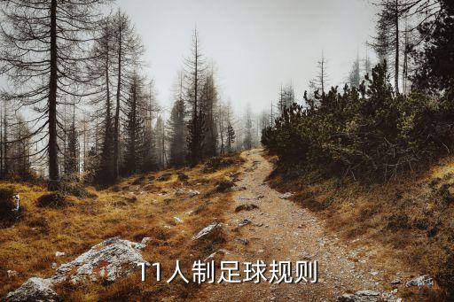 11人制足球規(guī)則