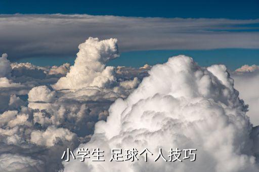 小學生 足球個人技巧