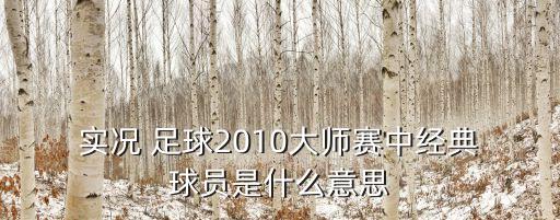  實(shí)況 足球2010大師賽中經(jīng)典 球員是什么意思