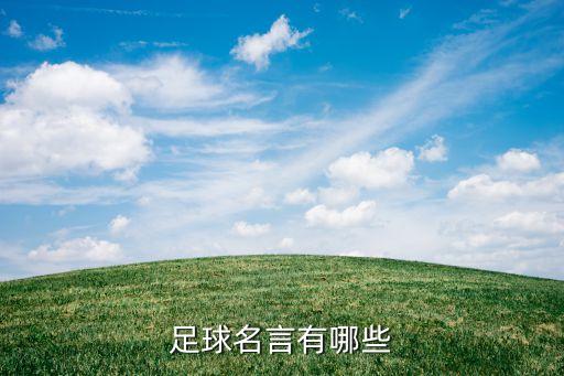 新足球賽我的世界杯