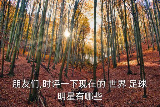 朋友們,時(shí)評(píng)一下現(xiàn)在的 世界 足球明星有哪些