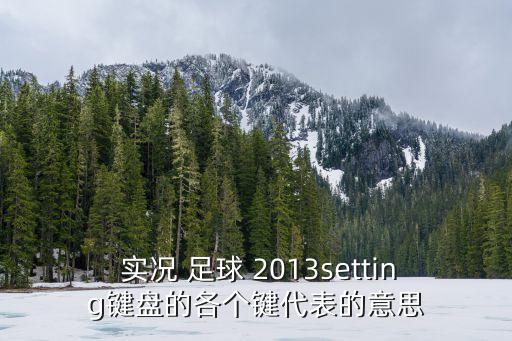  實況 足球 2013setting鍵盤的各個鍵代表的意思