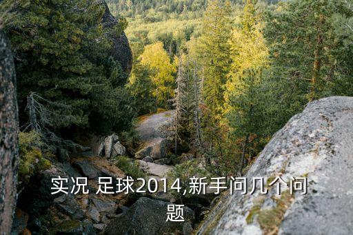  實(shí)況 足球2014,新手問(wèn)幾個(gè)問(wèn)題