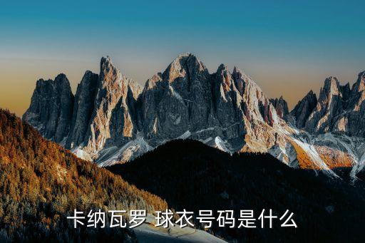 卡納瓦羅 球衣號碼是什么