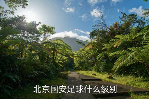  北京國(guó)安足球什么級(jí)別