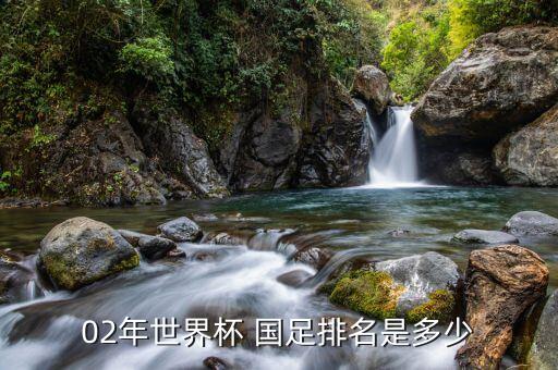 02年世界杯 國(guó)足排名是多少