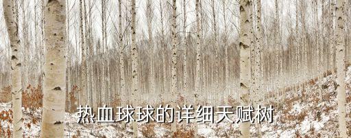熱血球球的詳細天賦樹
