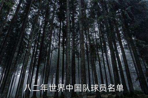八二年世界中國隊球員名單
