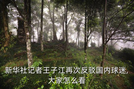 新華社記者王子江再次反駁國(guó)內(nèi)球迷,大家怎么看