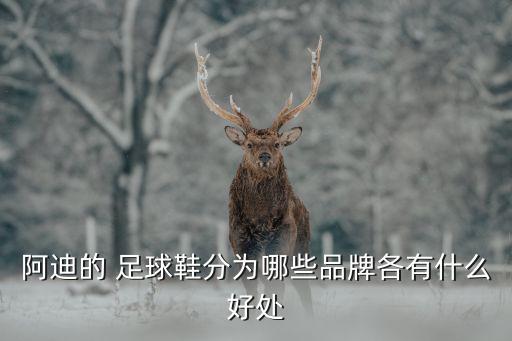 阿迪的 足球鞋分為哪些品牌各有什么好處