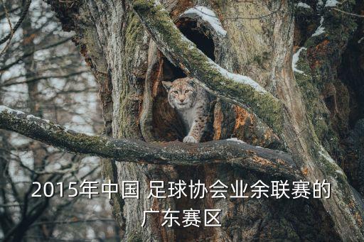 2015年中國 足球協(xié)會業(yè)余聯(lián)賽的廣東賽區(qū)