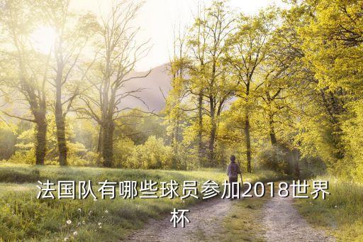  法國(guó)隊(duì)有哪些球員參加2018世界杯