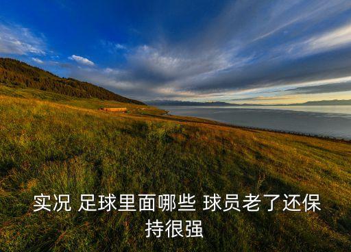  實(shí)況 足球里面哪些 球員老了還保持很強(qiáng)