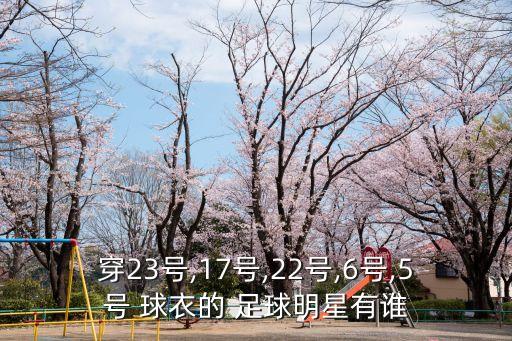 穿23號(hào),17號(hào),22號(hào),6號(hào),5號(hào) 球衣的 足球明星有誰(shuí)
