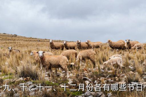 九、十、十一、十二月份各有哪些節(jié)日