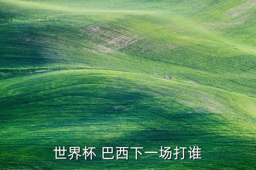 世界杯 巴西下一場(chǎng)打誰(shuí)