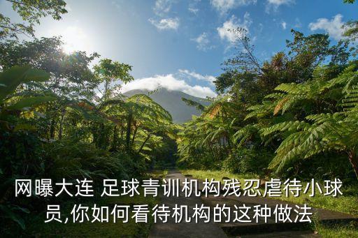 網(wǎng)曝大連 足球青訓(xùn)機(jī)構(gòu)殘忍虐待小球員,你如何看待機(jī)構(gòu)的這種做法