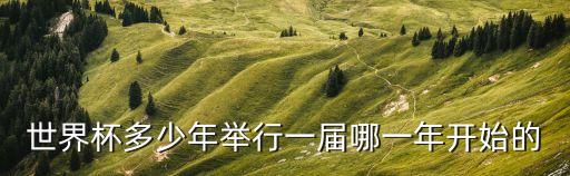 世界杯多少年舉行一屆哪一年開始的