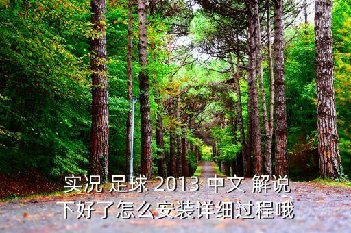  實(shí)況 足球 2013 中文 解說下好了怎么安裝詳細(xì)過程哦