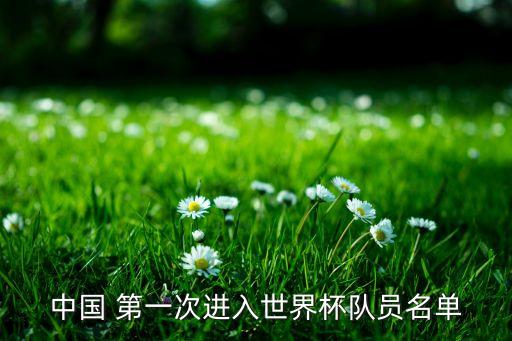 中國(guó) 第一次進(jìn)入世界杯隊(duì)員名單