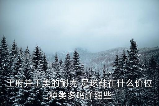 王府井工美的耐克 足球鞋在什么價位,種類多嗎詳細(xì)些