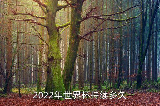 華融杯總決賽(足球),2022世界杯總決賽