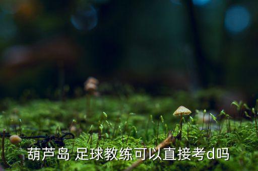 葫蘆島 足球教練可以直接考d嗎