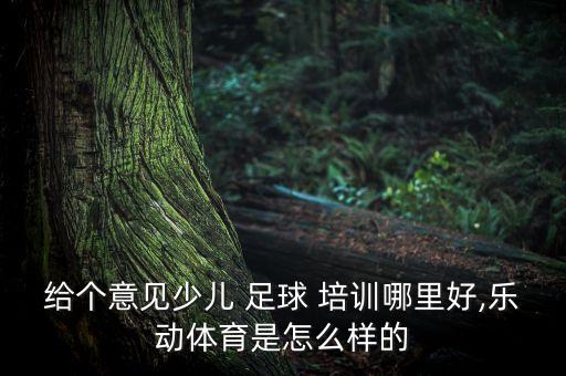 中國足球培訓(xùn)品牌
