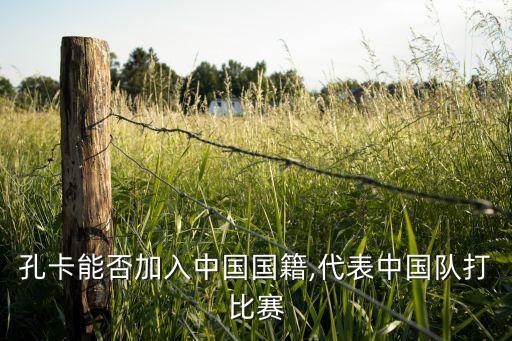 上港集團(tuán)足球俱樂部隊(duì)員名,上海上港集團(tuán)足球俱樂部有限公司