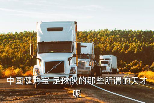 中國(guó)健力寶 足球隊(duì)的那些所謂的天才呢