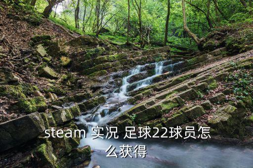 steam購(gòu)買實(shí)況足球