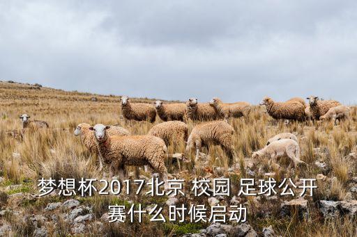 夢想杯2017北京 校園 足球公開賽什么時(shí)候啟動(dòng)