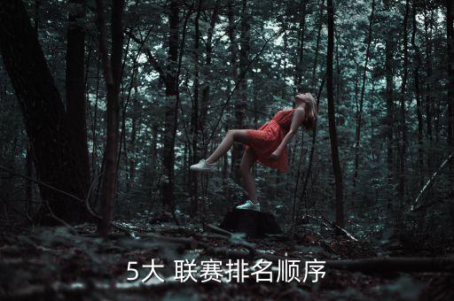 5大 聯賽排名順序