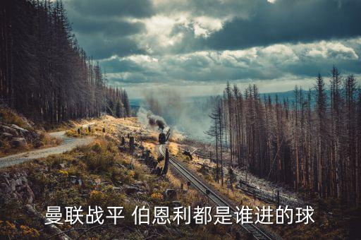 實況足球2017伯恩利